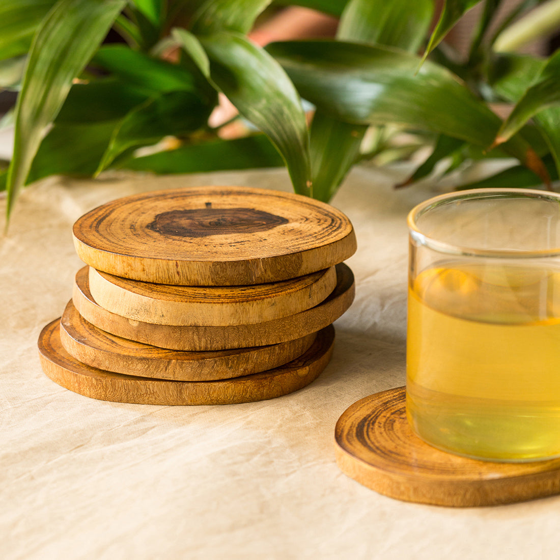 EXCLUSIVELANE 'Circles of Wood' Log Handcrafted Coasters In Mango Wood (Set Of 6)