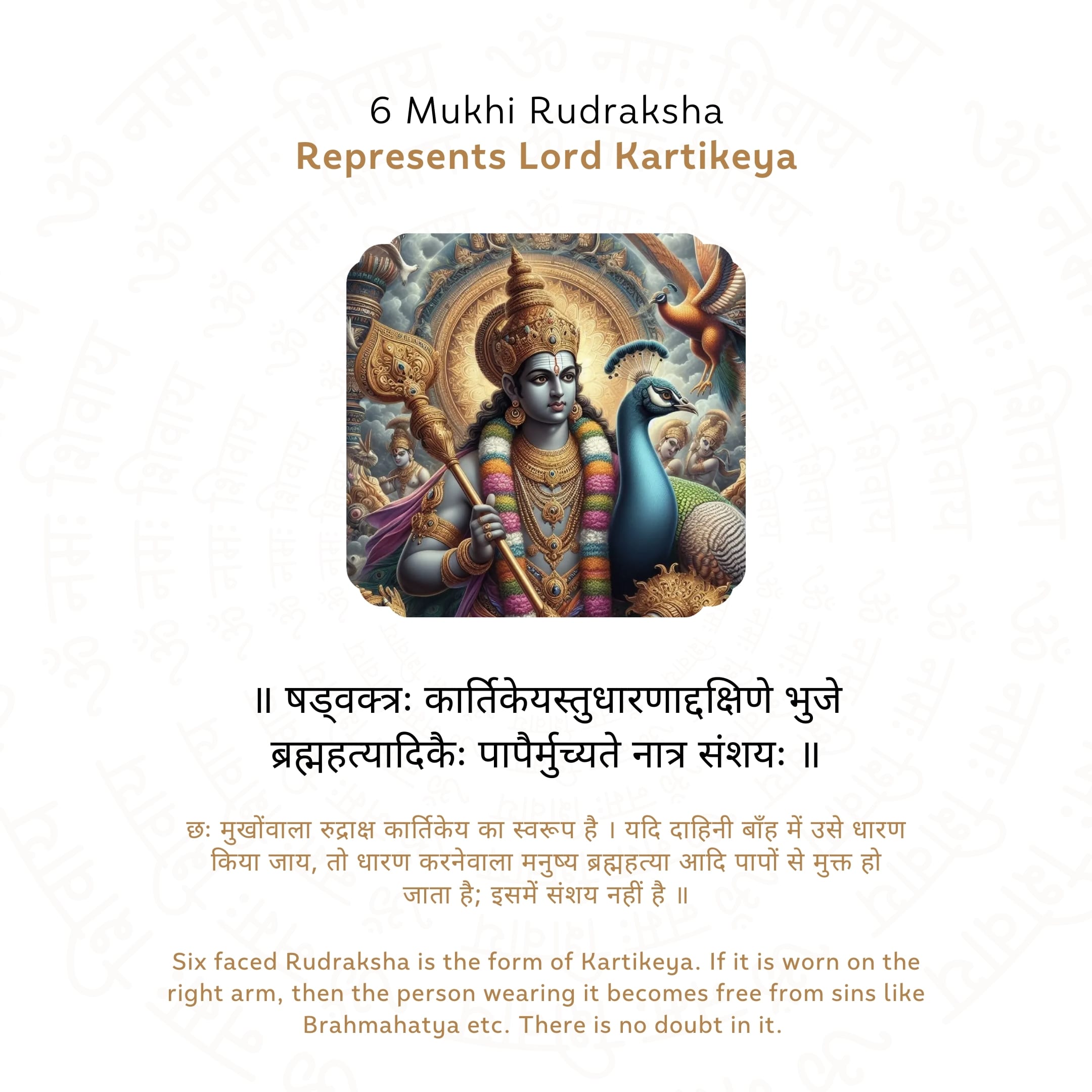 Prinjal Jewellers 6 Mukhi Rudraksha ( Nepali ) - view 4