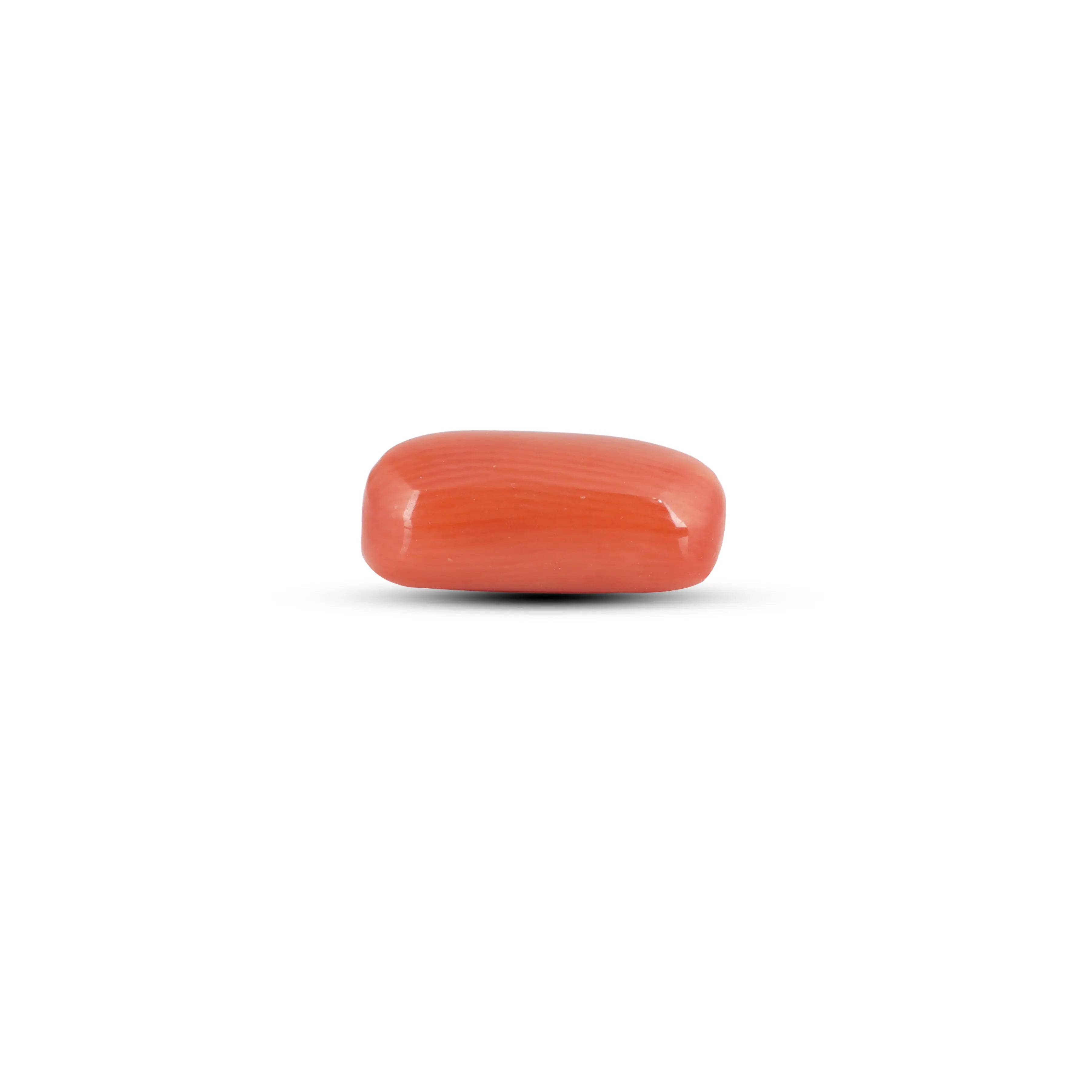 Pramogh Red Coral - 3.05 Carat - view 3