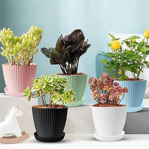 Roposo Clout Premium Round Flower Pot + Trays Saucer