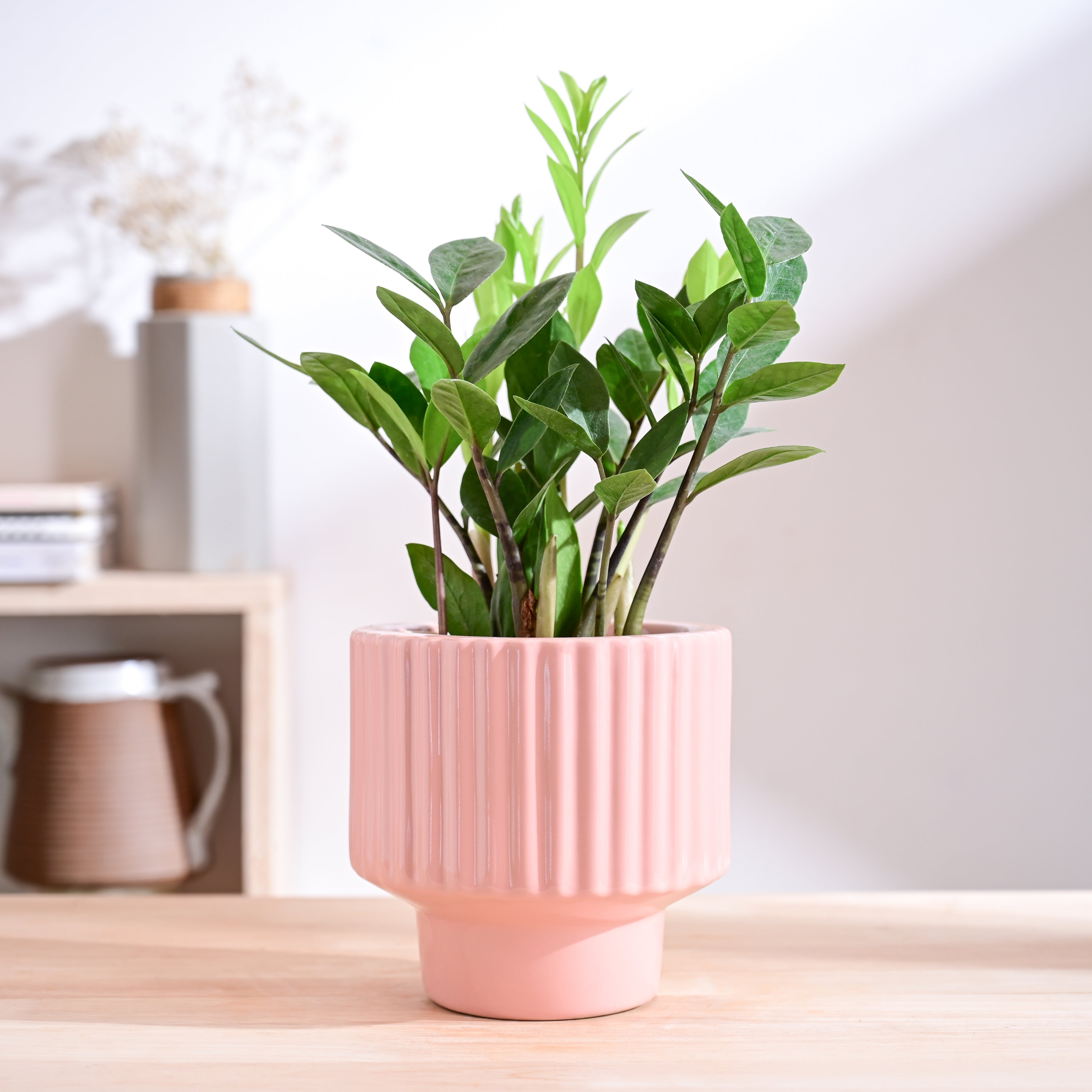 Forms love ceramic – Ugaoo Forms of Love Ceramic Planter