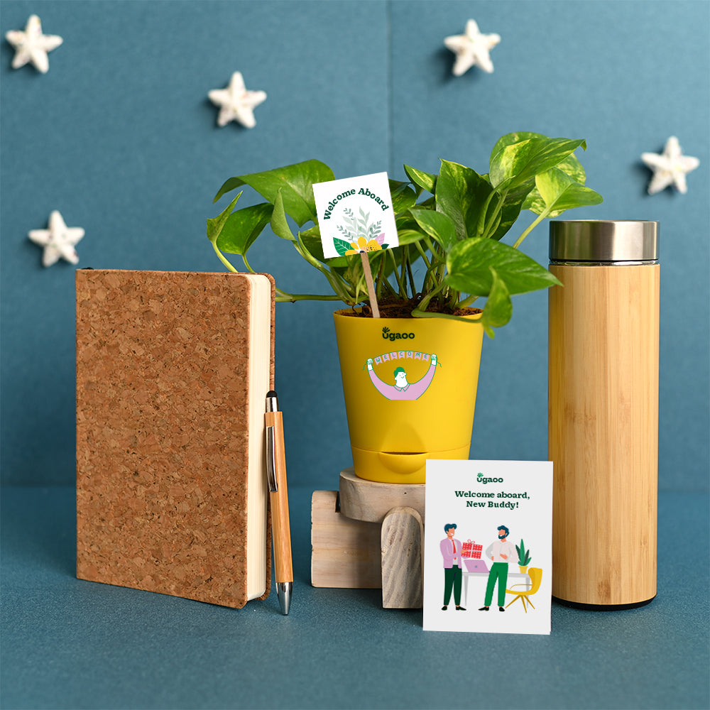 Ugaoo Employee Kit of Plant with Cork Notebook, Pen & Bamboo Vacuum Flask