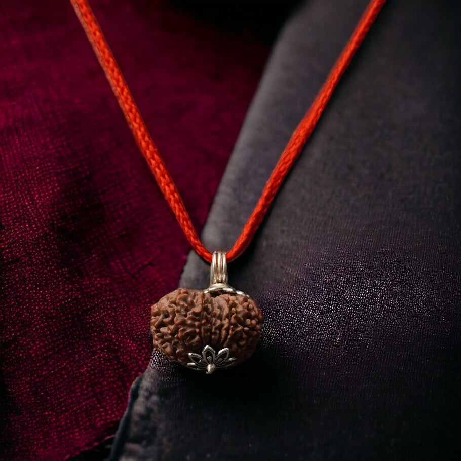 Soultheory Natural 11 Mukhi Nepali Rudraksha - Gyaarah Mukhi