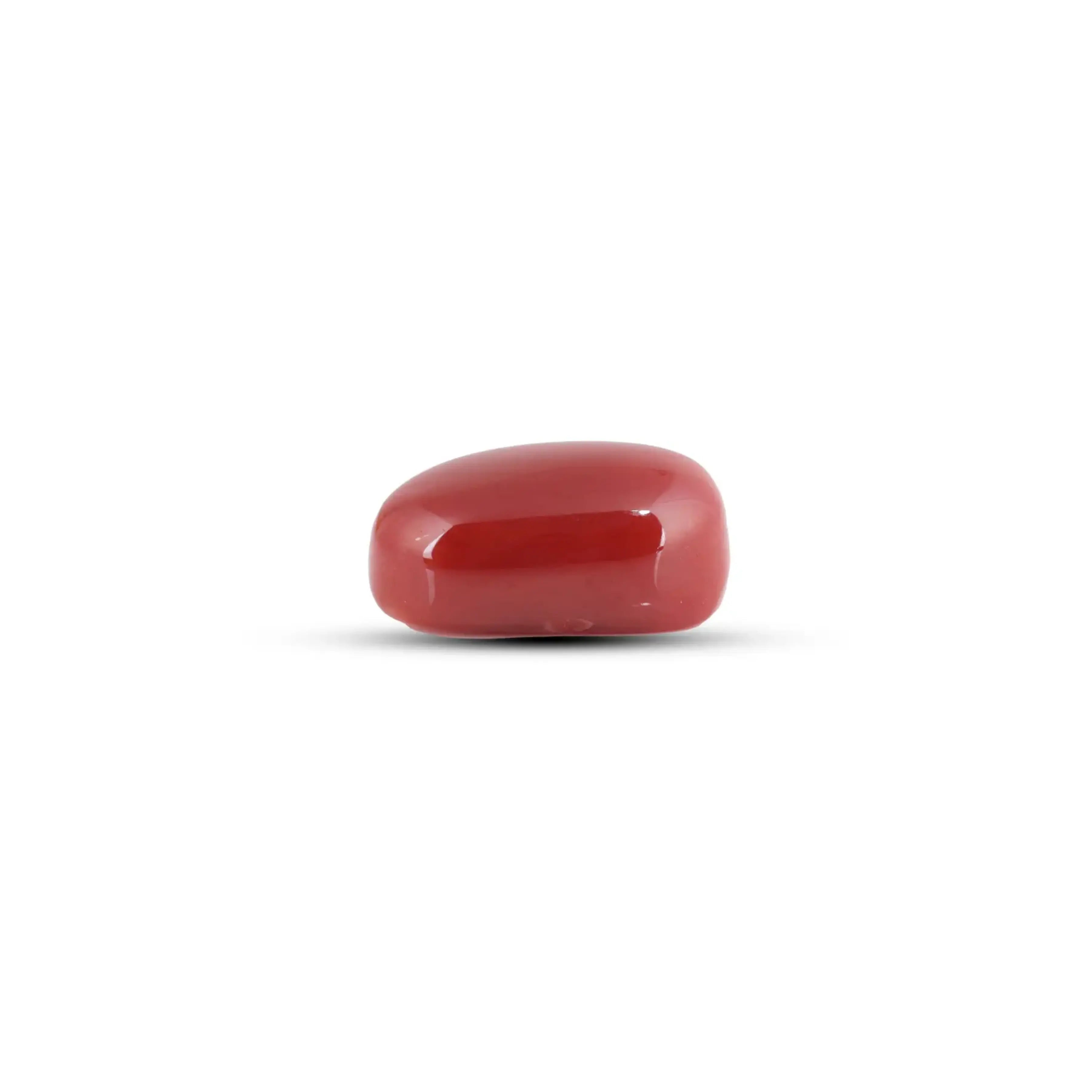 Pramogh Japanese Red Coral - 6.35 Carat - view 3
