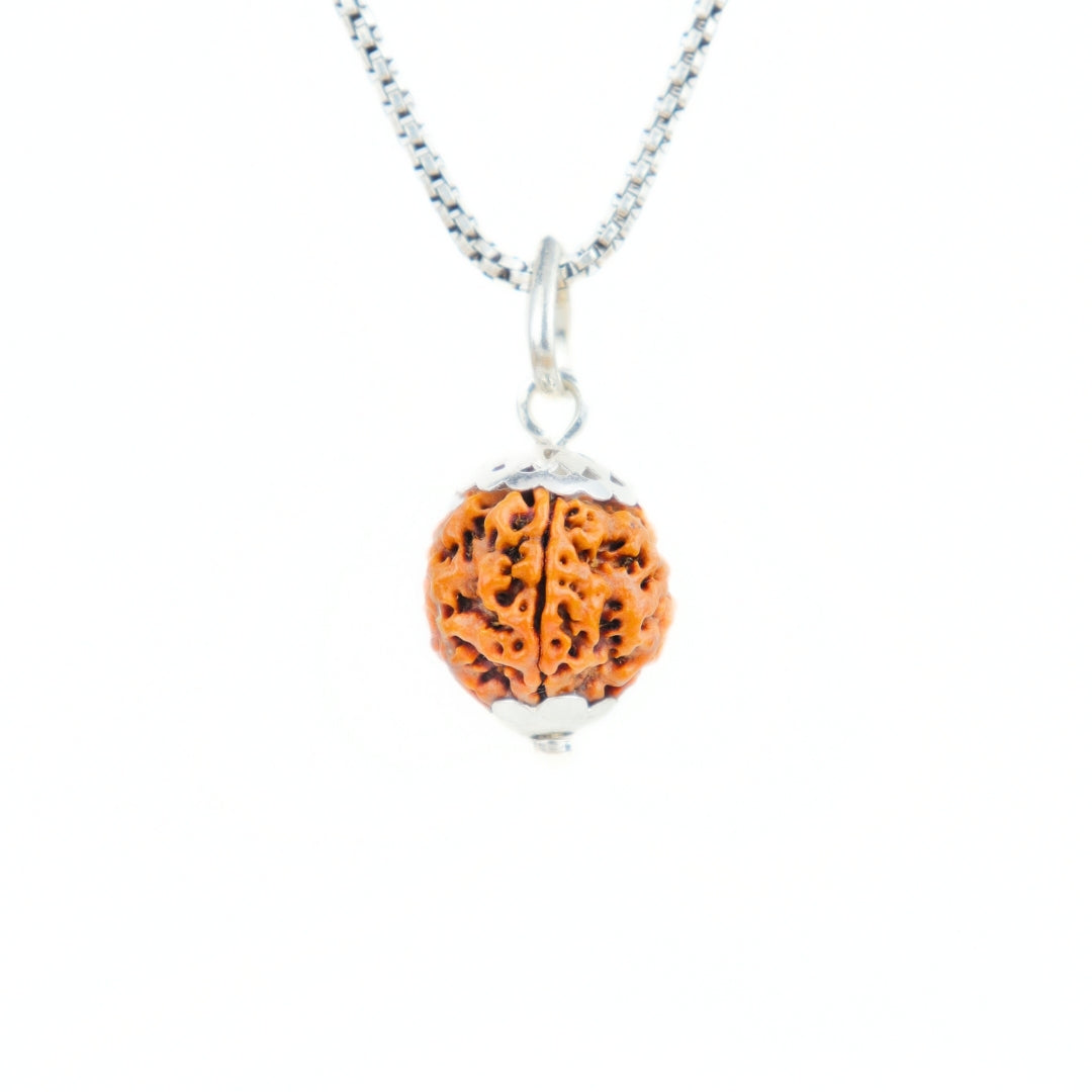 Prinjal Jewellers Silver Capping 5 Mukhi Rudraksha Pendant With Chain ( Nepali )