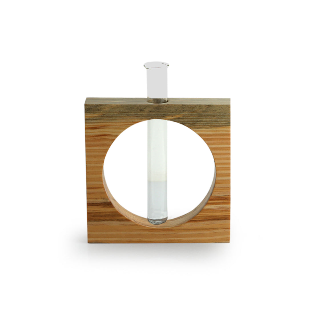 EXCLUSIVELANE 'Carved Circle Glass Garden' Test Tube Table Planter/Vase (9 Inch, Light Brown) - view 2
