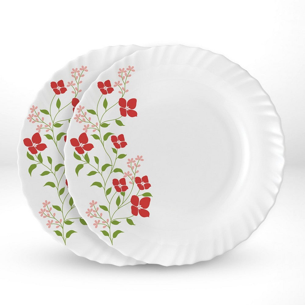 Janus noodle soup – My Borosil Larah by Borosil Janus Noodle / Soup Plate Set