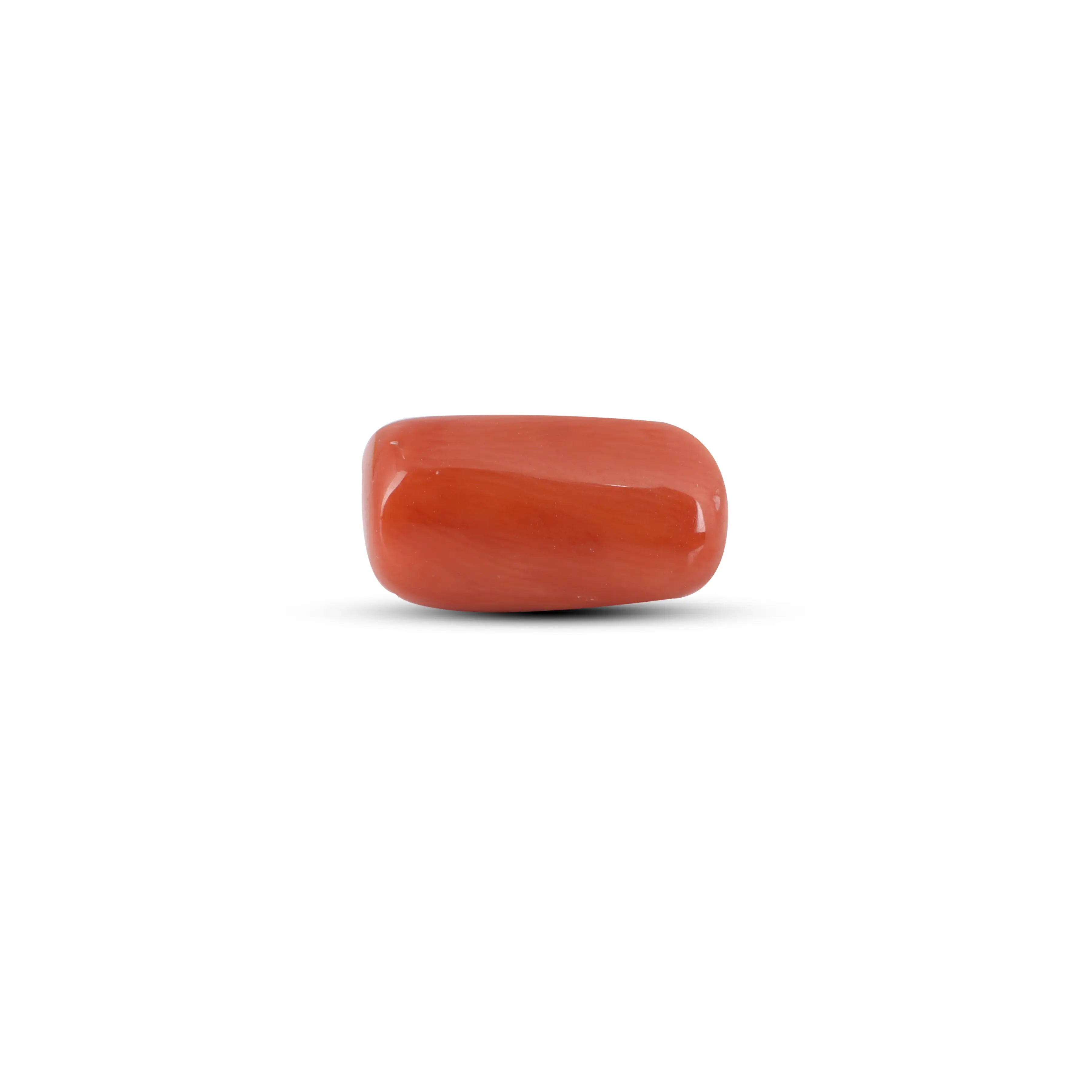 Pramogh Red Coral - 5.05 Carat