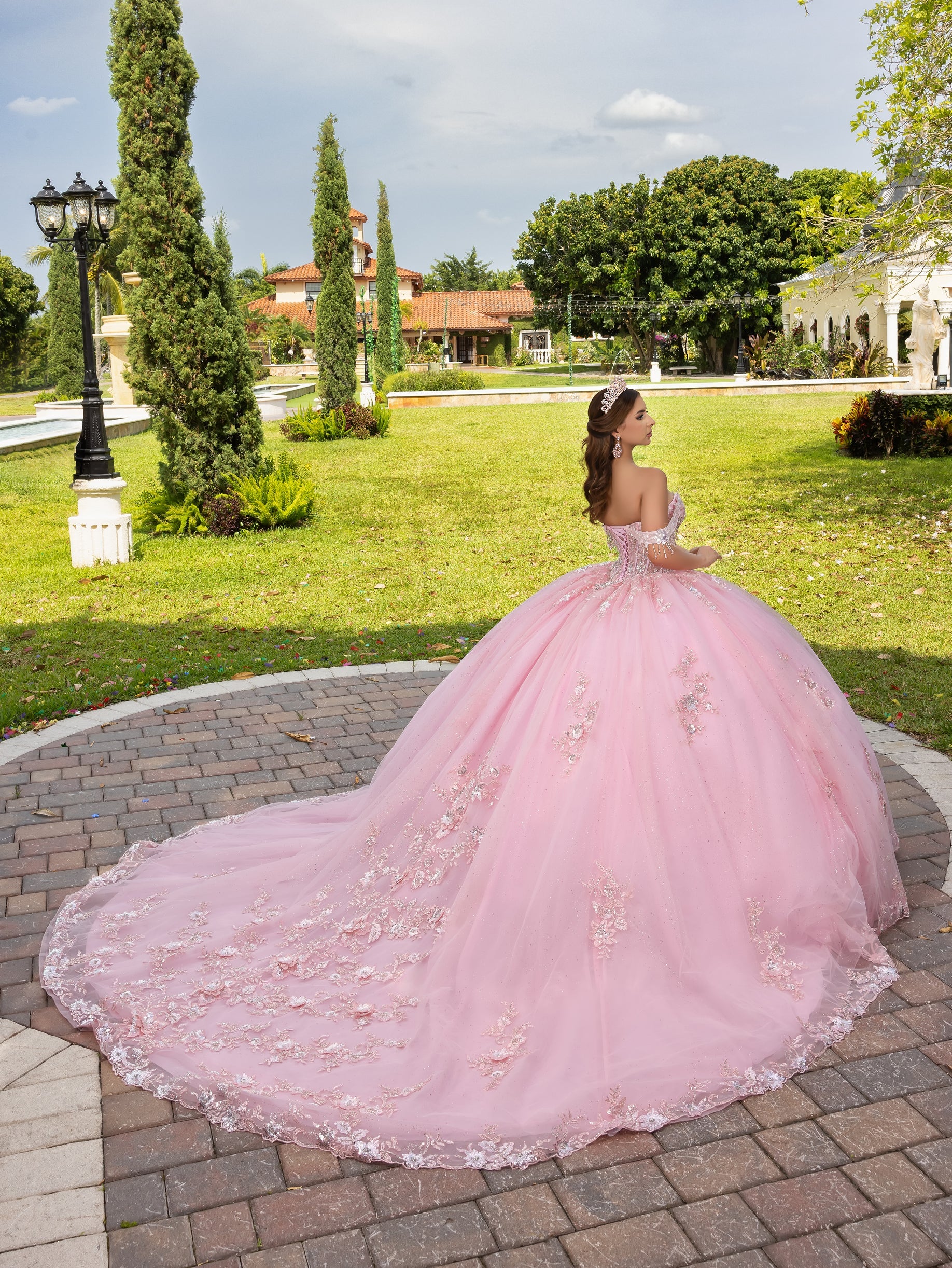 House of Wu Fiesta Gowns 3D Floral Off Shoulder Ball Gown by LizLuo Fiesta 56526 - view 2