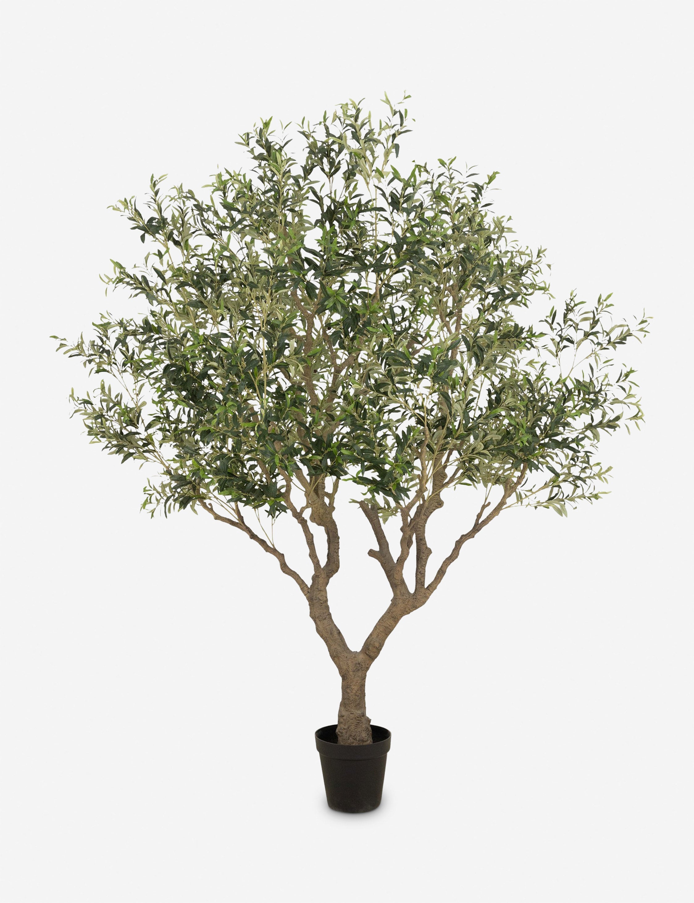 Lulu and Georgia Faux Olive Tree