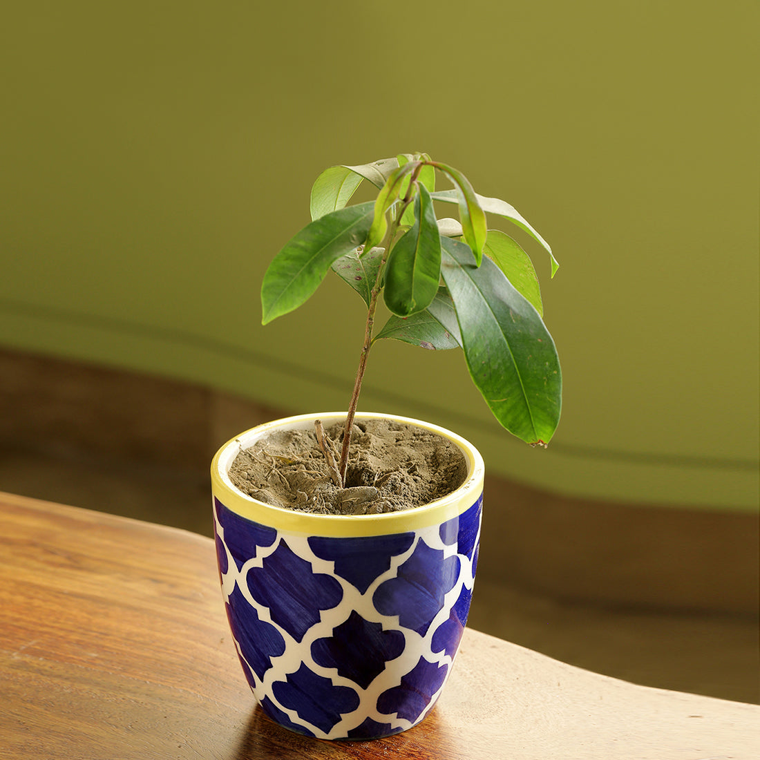 EXCLUSIVELANE 'The Morocco Pod' Handpainted Ceramic Planter