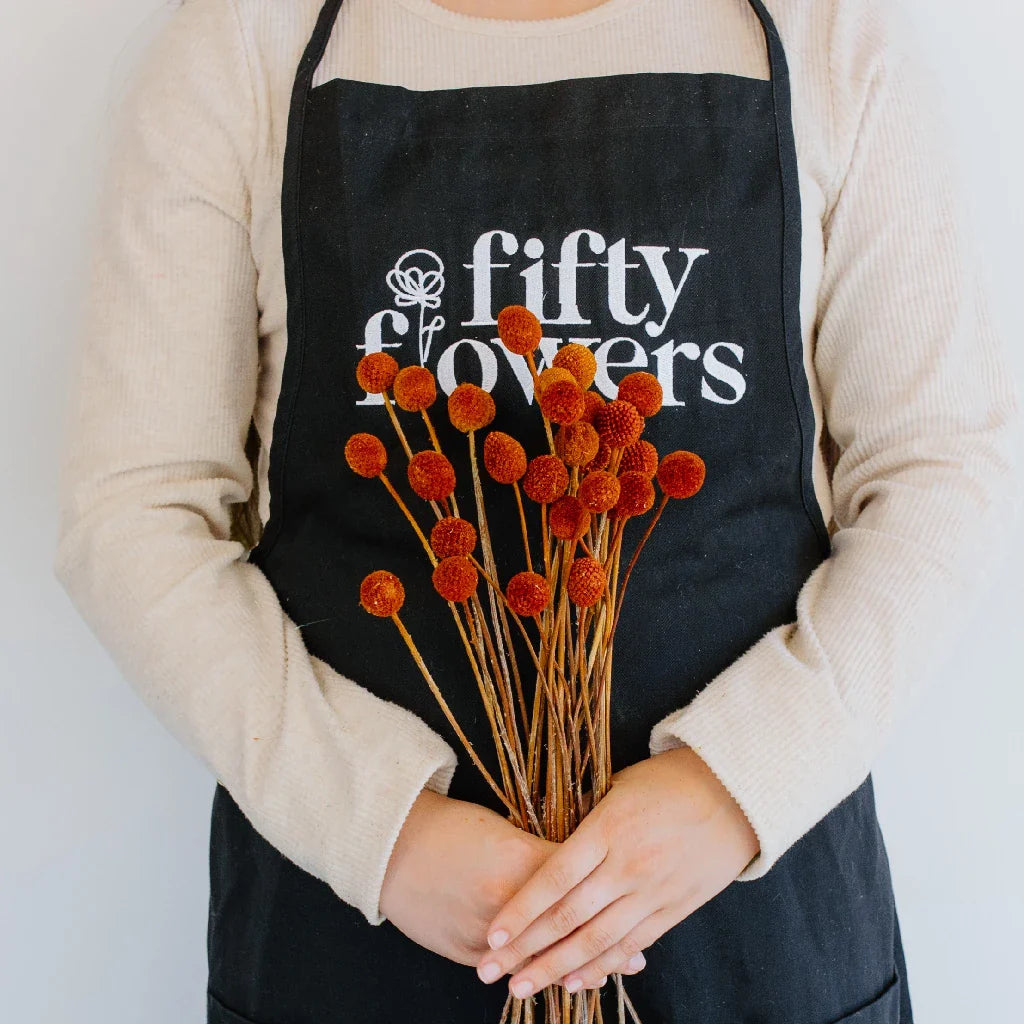 FiftyFlowers Rust Brown Dried Craspedia Billy Balls - view 4
