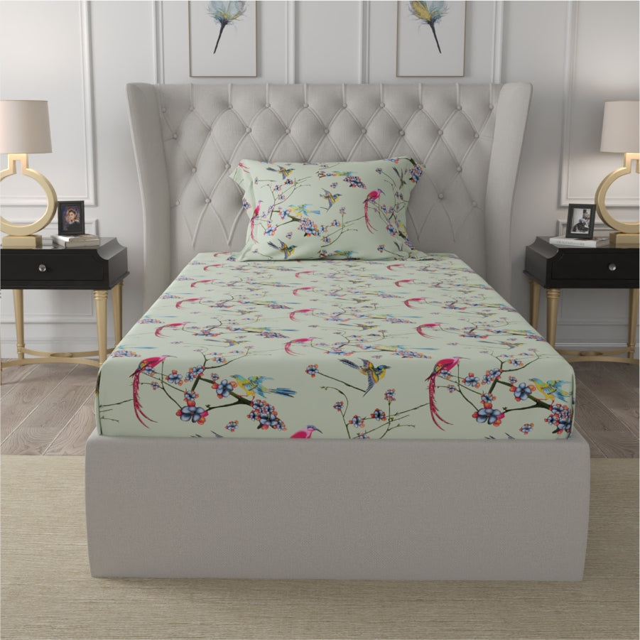 Urban Space -Home Furnishing Store Fitted King Size Cotton Bedsheet - Sparrow Mint Green - view 10