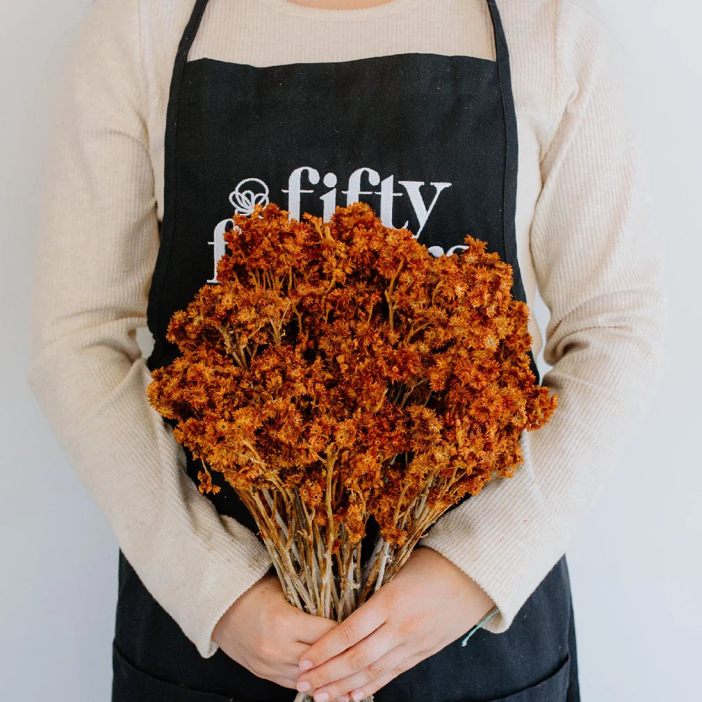 FiftyFlowers Rust Brown Dried Andean Asters - view 4