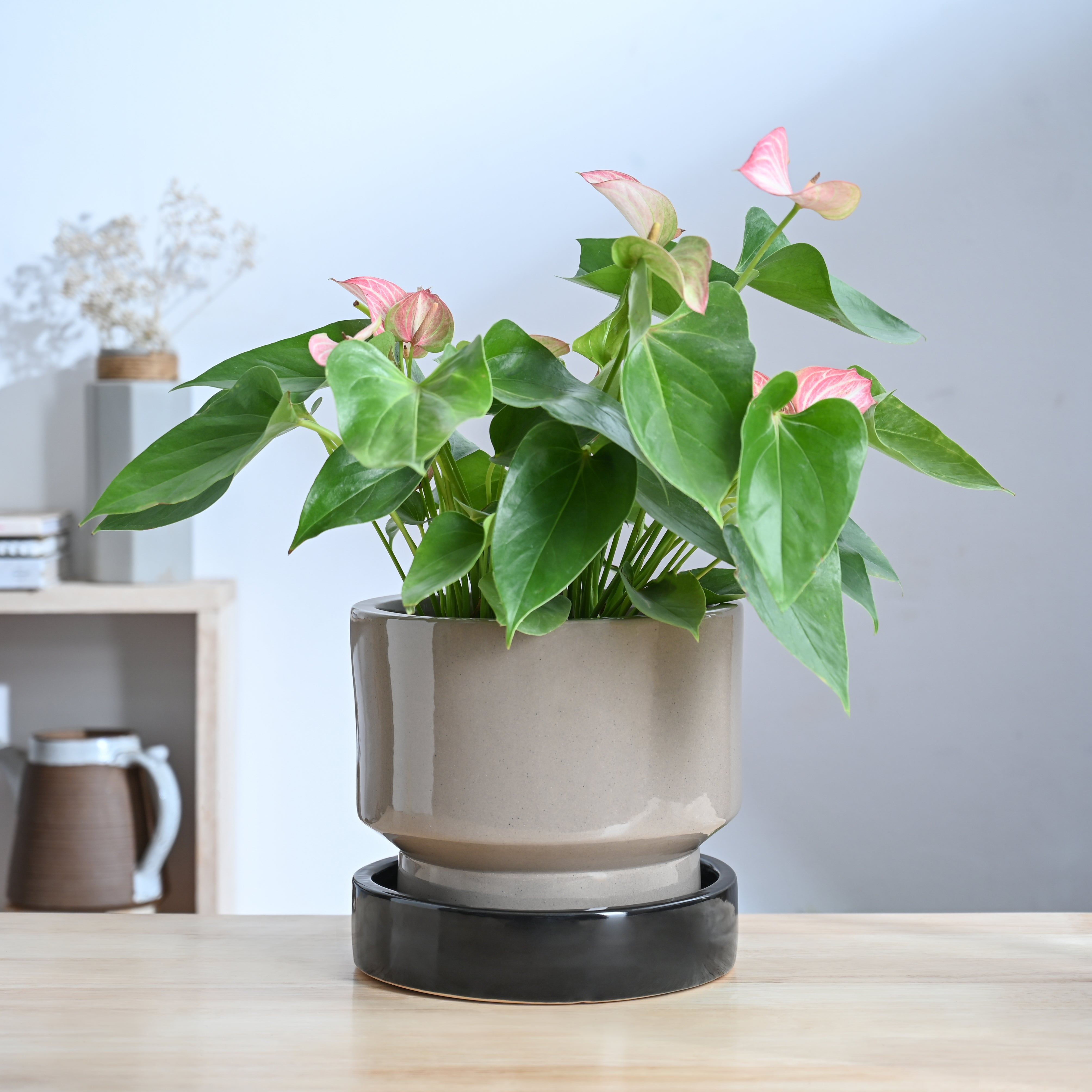 Ugaoo Soothing Rains Ceramic Planters