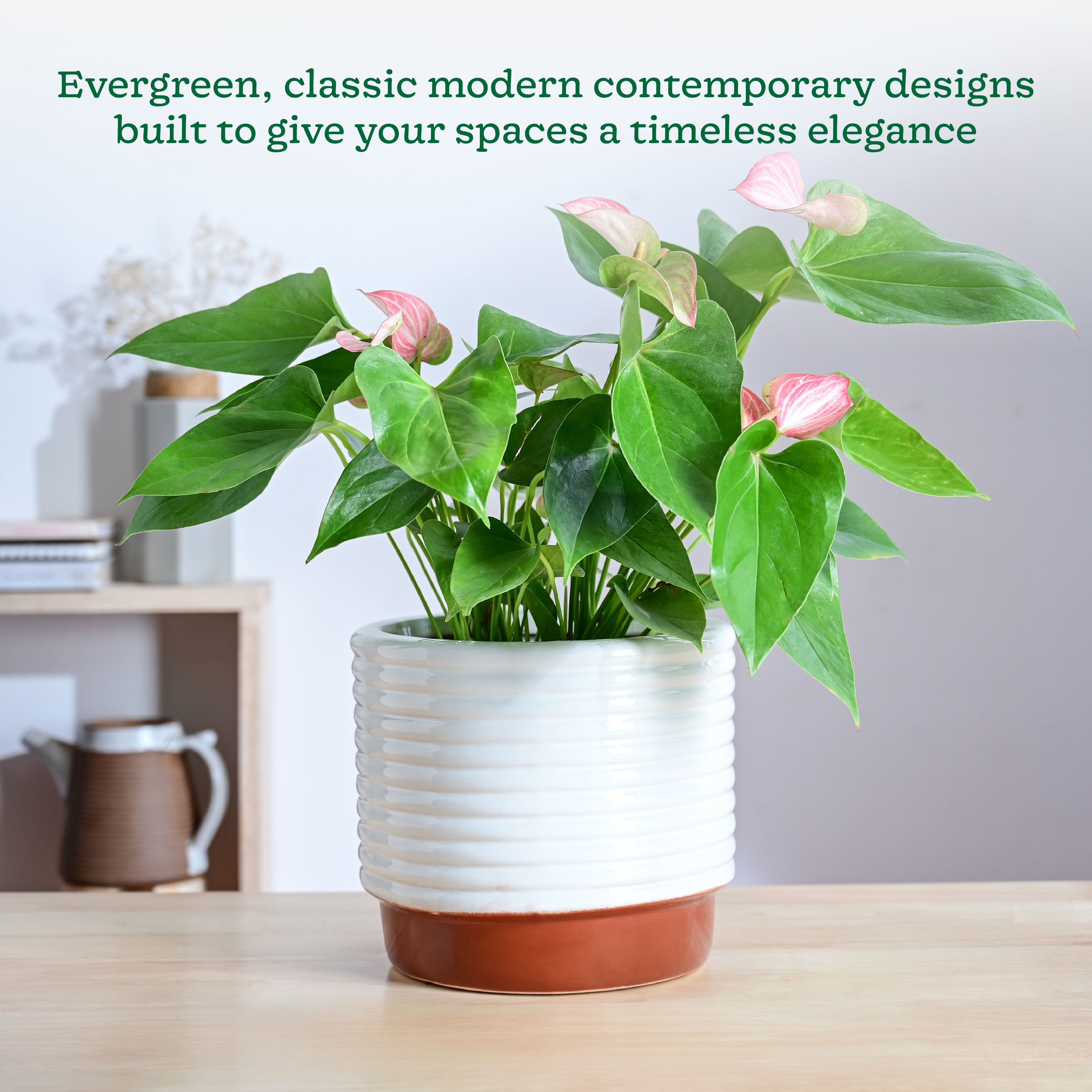 Ugaoo Untold stories Ceramic Planter - view 10