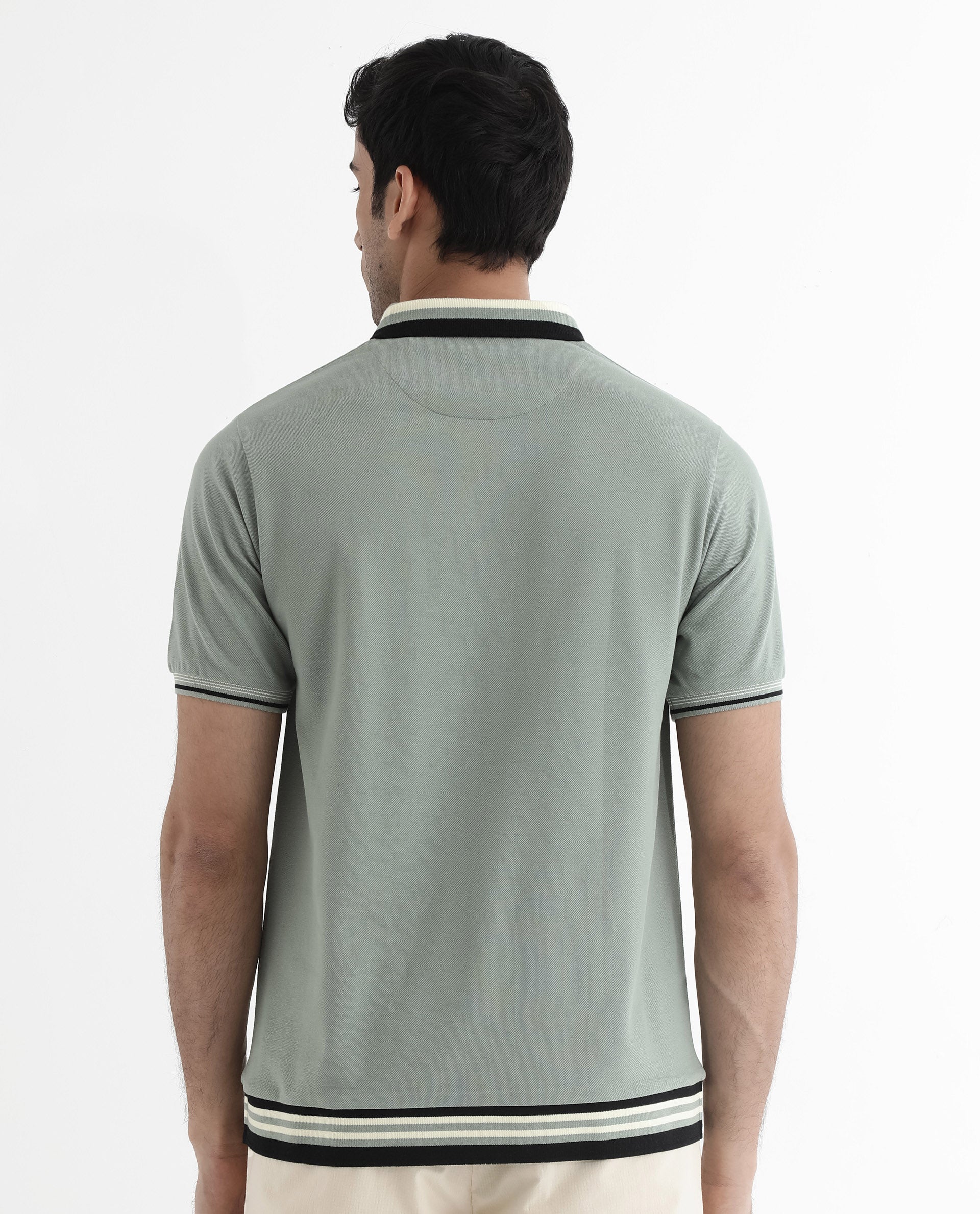 Rare Rabbit Men's Zyte Dusky Green Cotton Fabric Short Sleeves Regular Collar Zipper Closure Plain Knit Polo T-Shirt - view 7