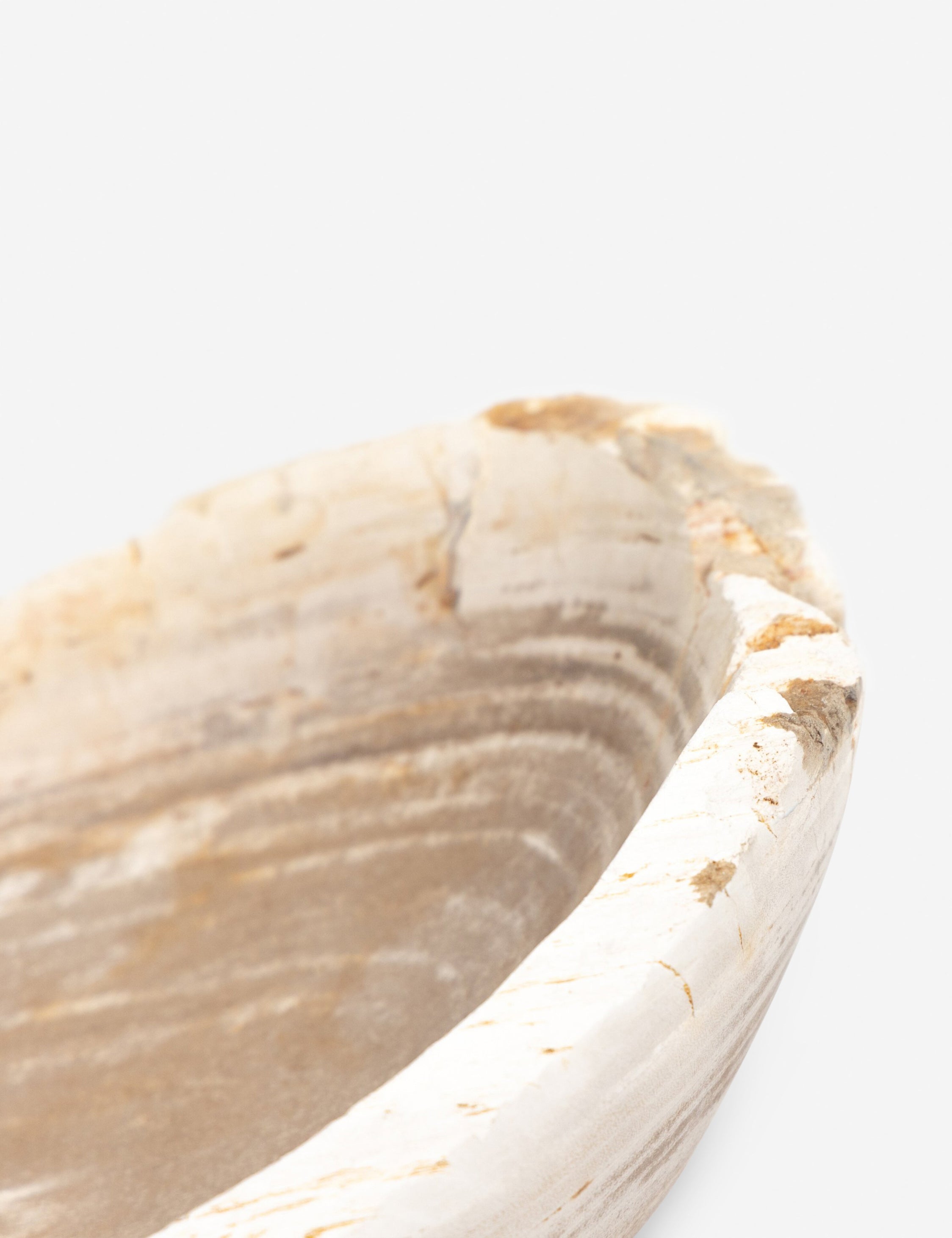 Lulu and Georgia Noki Petrified Wood Bowl - view 6