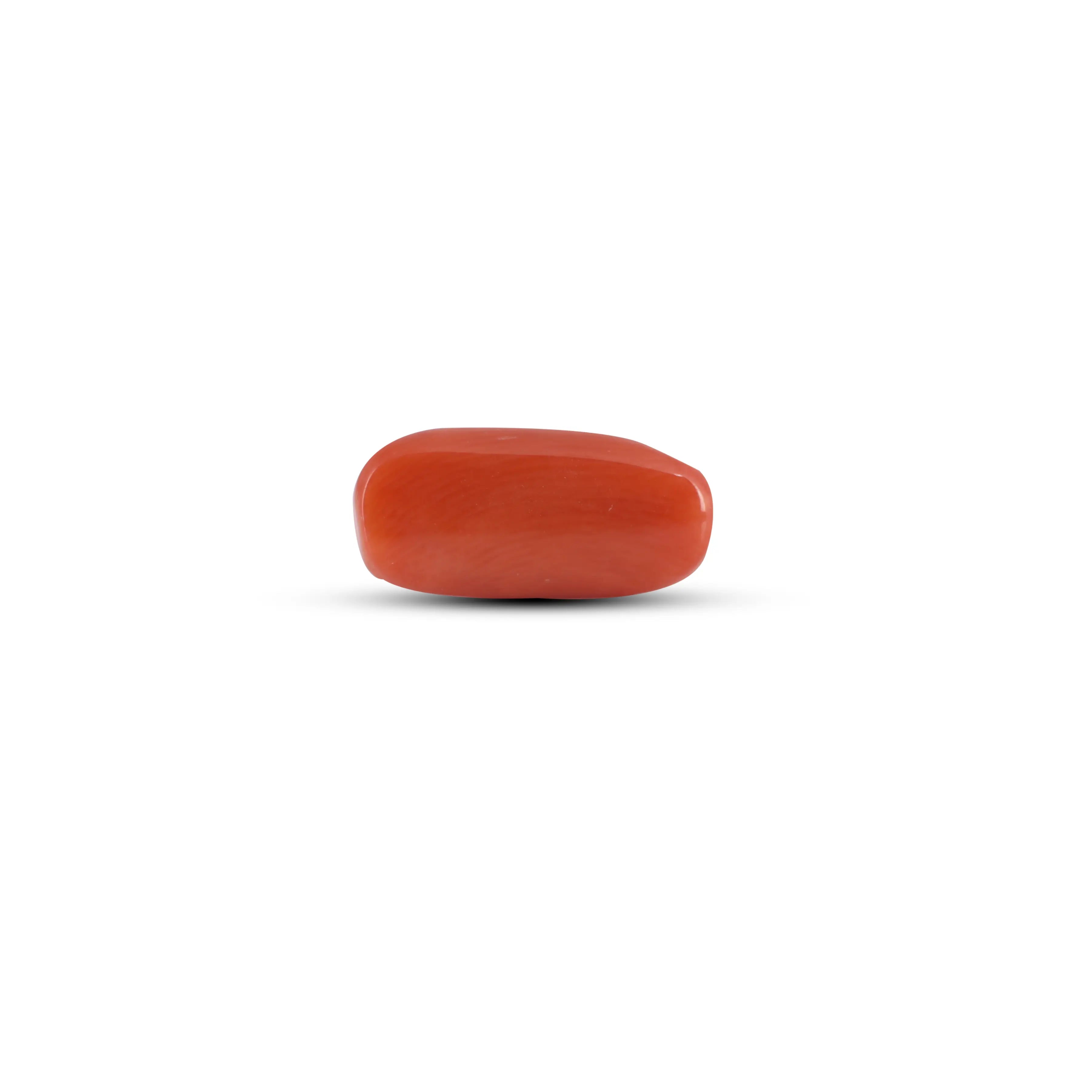 Pramogh Red Coral - 3.7 Carat - view 2
