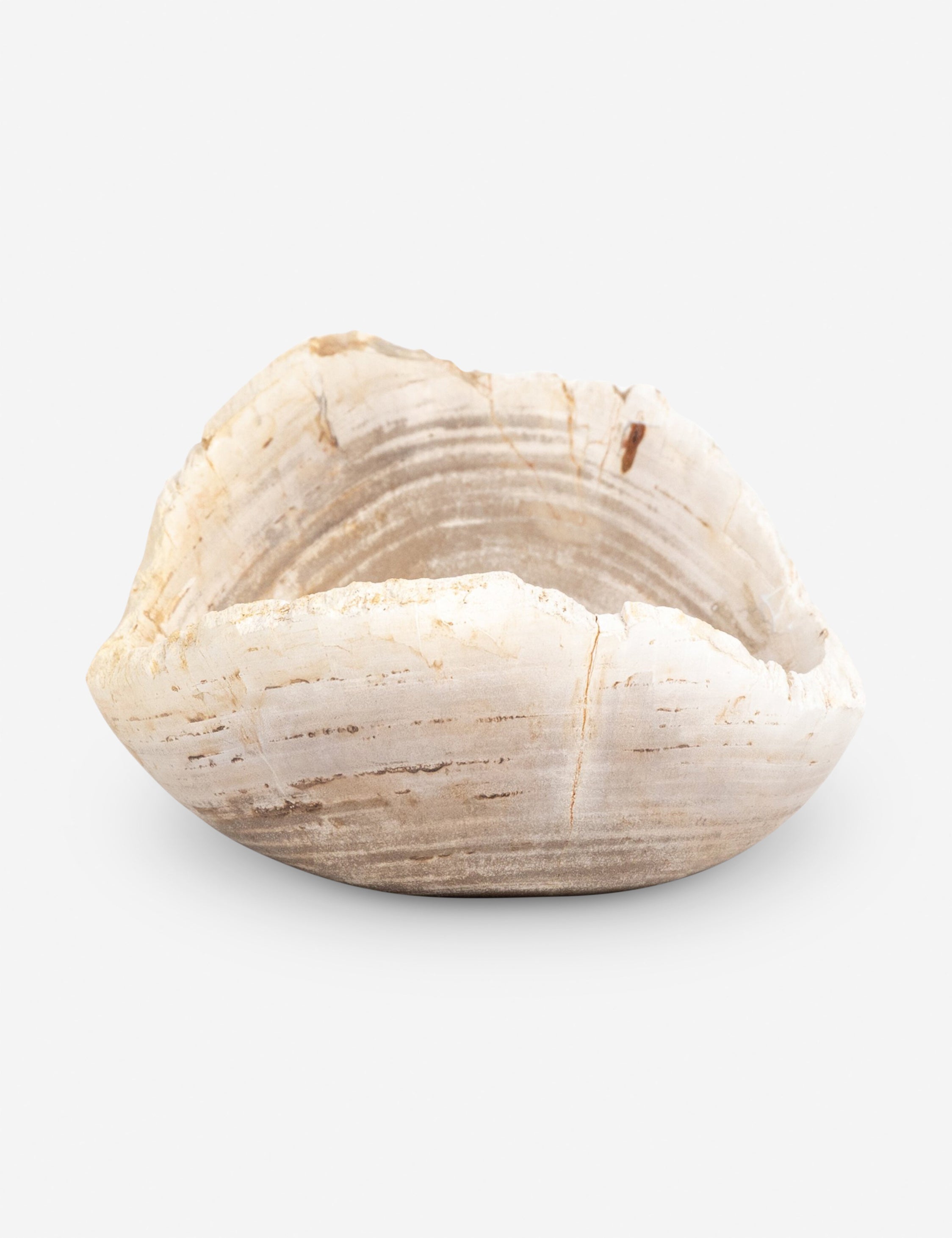 Lulu and Georgia Noki Petrified Wood Bowl - view 7