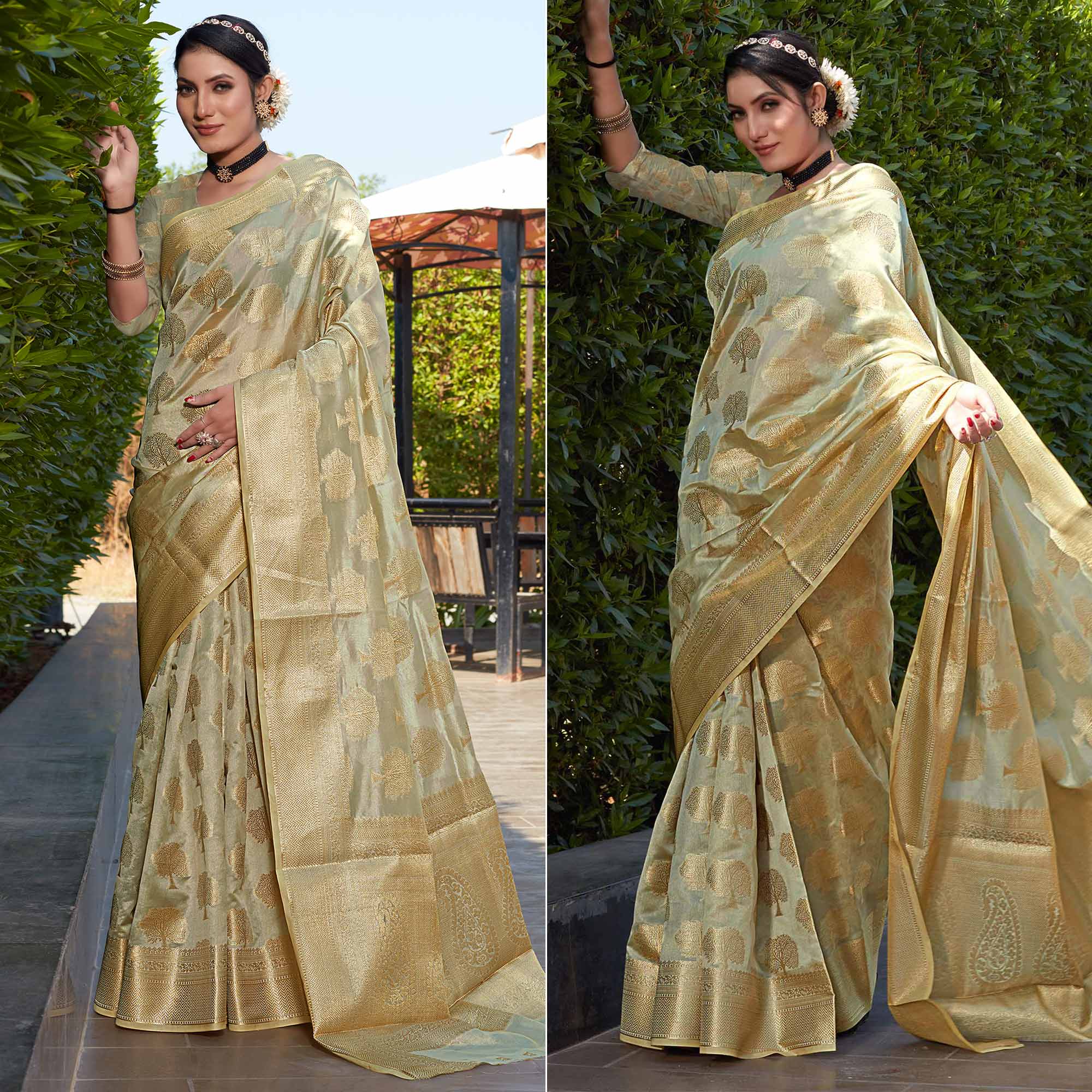 Peachmode Chikoo Woven Organza Saree – Women's