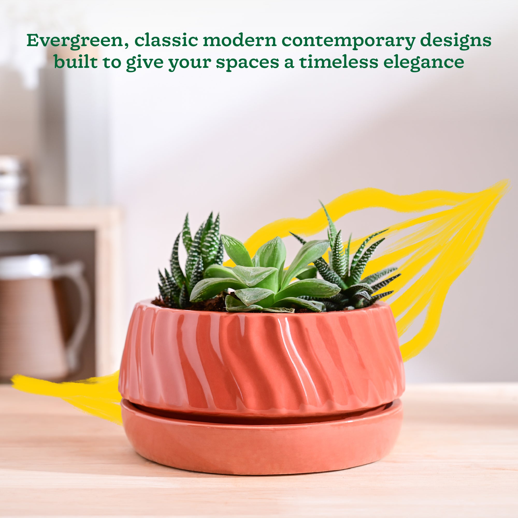 Ugaoo Fallen Angel Ceramic Planter - view 50