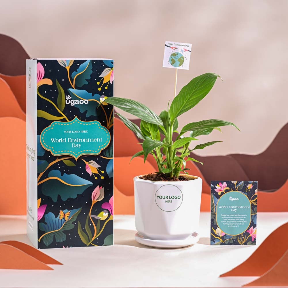 Ugaoo Peace Lily For Environment Day Gifting - view 49